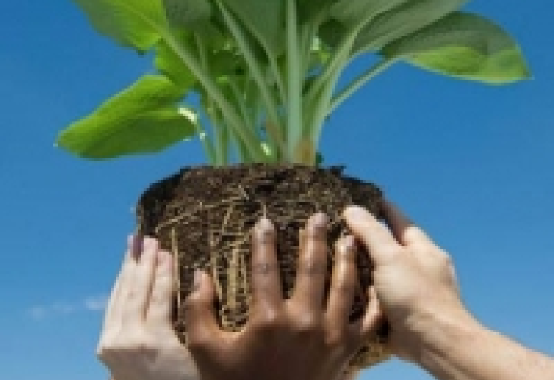 
<span>كيف نتعايش مع الآخر؟</span>
