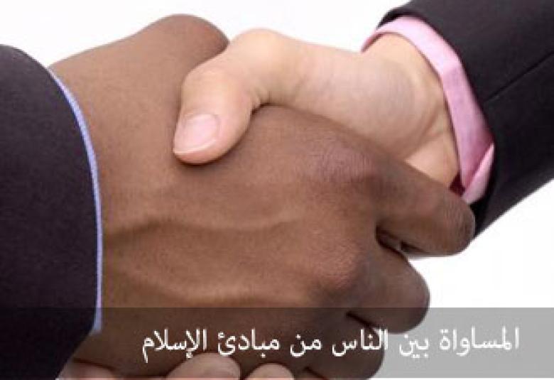 
<span>المساواة  </span>
