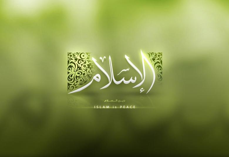 
<span>الصحوة الإسلامية.. صحوة من أجل الصحوة</span>
