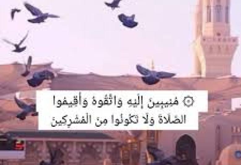 
<span>وأقيموا الصلاة ولا تكونوا من المشركين</span>
