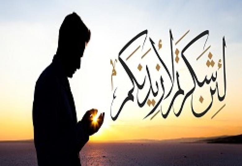 
<span>نعمة الجوارح</span>
