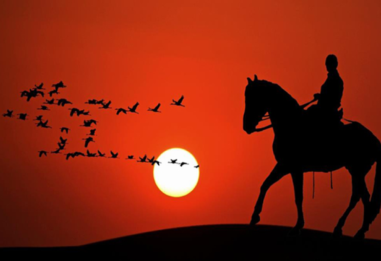 
<span>الرياضة عند شباب الصحابة</span>
