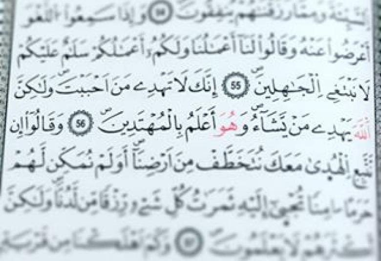 
<span>الهداية بيد الله  </span>
