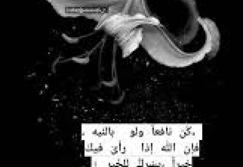 
<span>كن نافعا </span>
