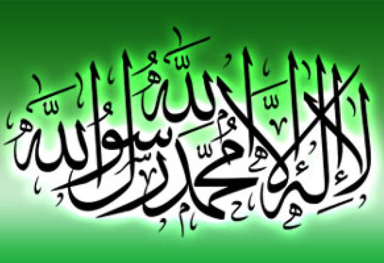 
<span>لا للضلالة لا لأهلها </span>
