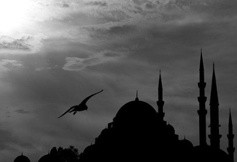 
<span>القضاء والقدر والفهم المعوج</span>
