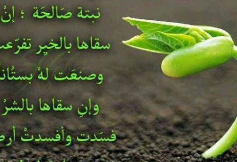 
<span>قصيدة بعنوان (عودة إلى الله)</span>
