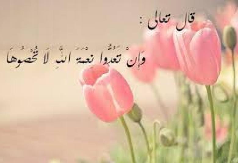 
<span>فوائد مستنبطة من قول الله عز وجل: (وإن تعدوا نعمة الله لا تحصوها) </span>
