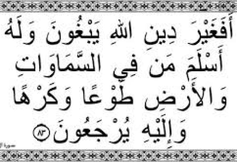 
<span>هؤلاء يكذبون بالدين ...!!</span>
