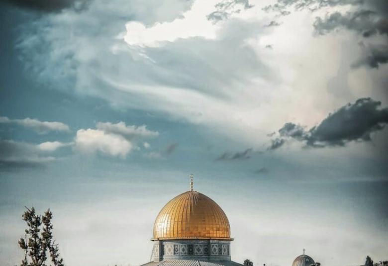 
<span>القدس في المقالات </span>
