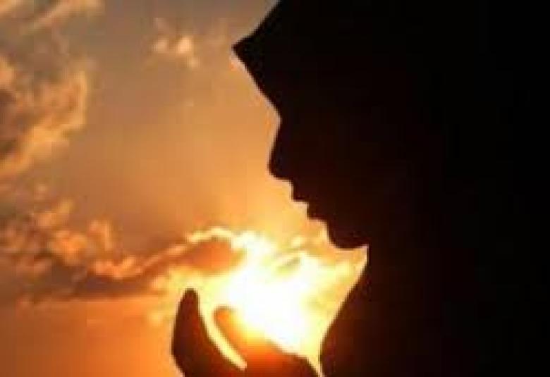 
<span>سياج المرأة و أحكام صونها  </span>
