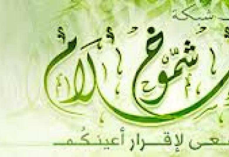 
<span>الإسلام والتطرف الديني ...</span>

