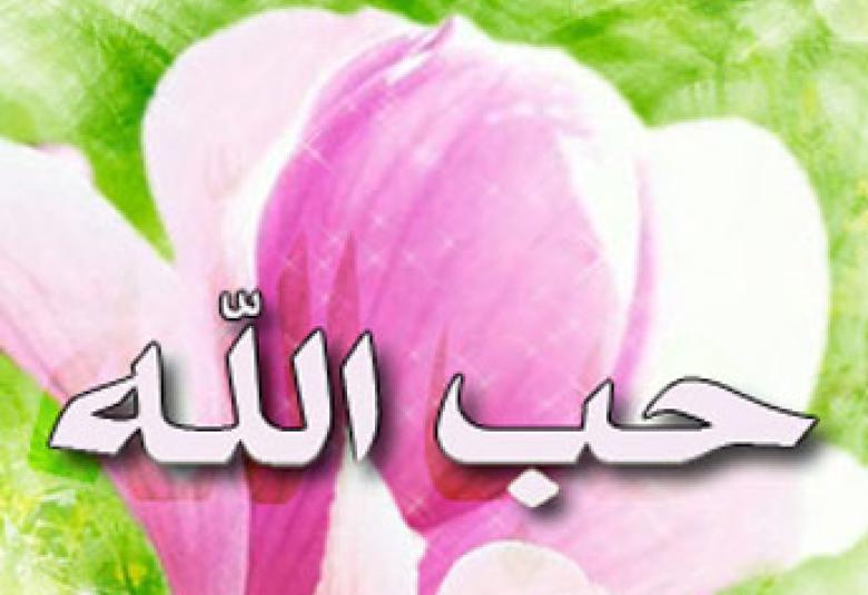 
<span>الحب الأعظم .. "حب الله" كيف نمتلكه ونعيش في معيته؟</span>
