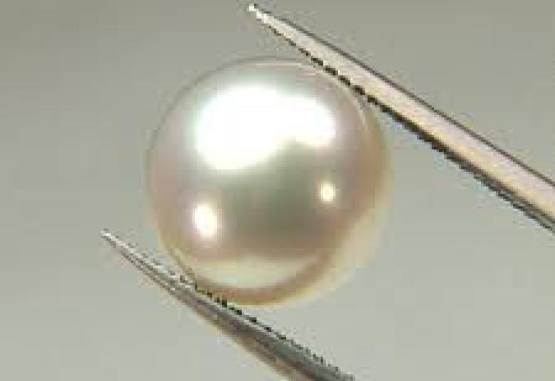 
<span>اللؤلؤ والمرجان من حكم بديع الزمان</span>
