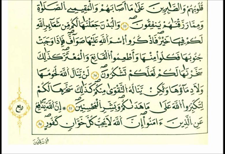 
<span>سورة الحج.. بين دعوة الأنبياء وتحقيق الإيمان</span>
