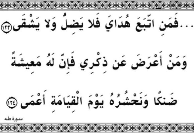 
<span>سنّة الحبيب الحل الوحيد</span>
