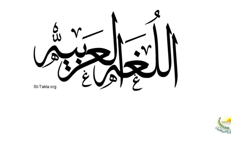 
<span>مسيرة اللغة العربية.. كلمة التاريخ وكلمة الواقع</span>
