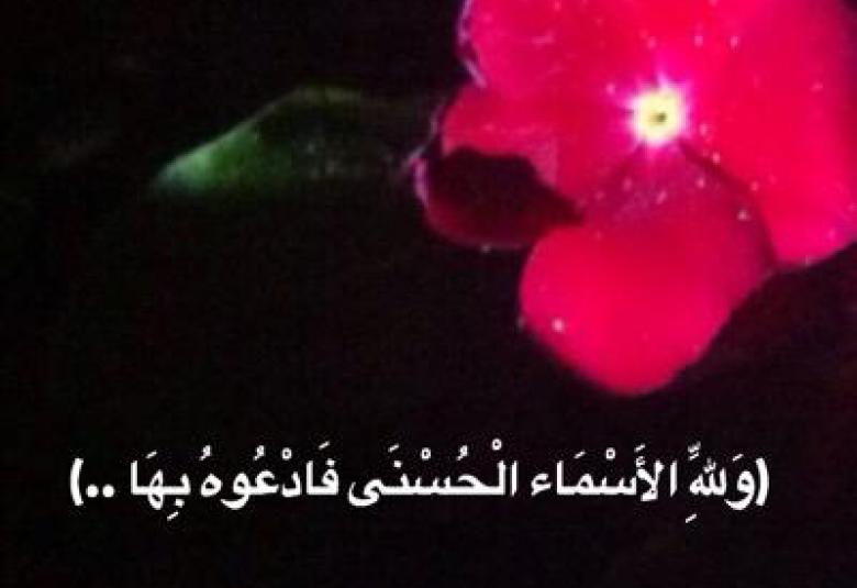 
<span>تعطيل المهديين لأسماء الله وصفاته   </span>
